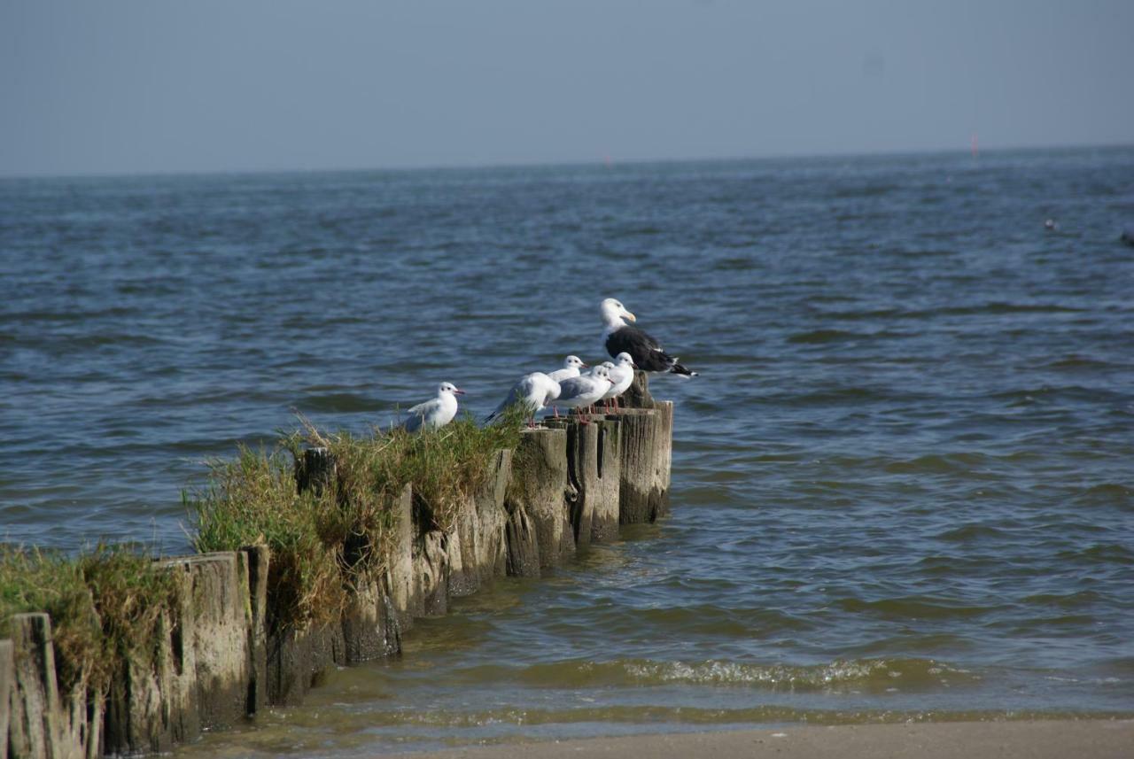 Ferienhaus "Strandgut" Ueckermünde Kültér fotó