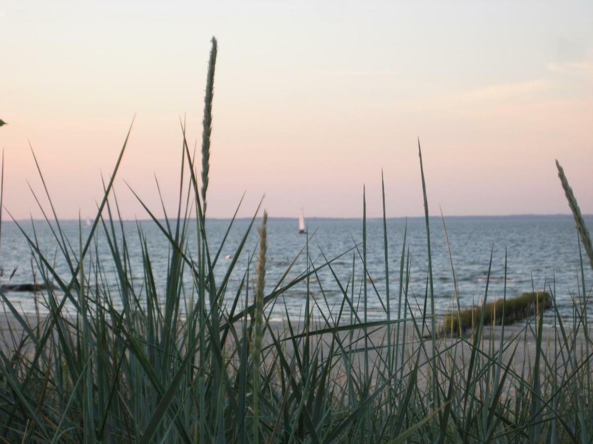 Ferienhaus "Strandgut" Ueckermünde Kültér fotó
